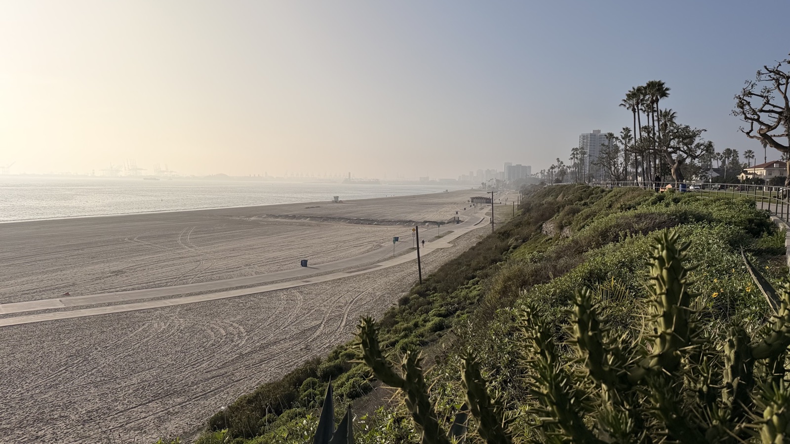 Belmont Heights — tree-lined Long Beach neighborhood with historic Spanish Revival and Craftsman homes. Represented by Kiri Suykry, Keller Williams Huntington Beach.